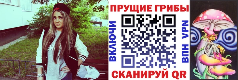 как найти закладки  Череповец  Галлюциногенные грибы Magic Shrooms 