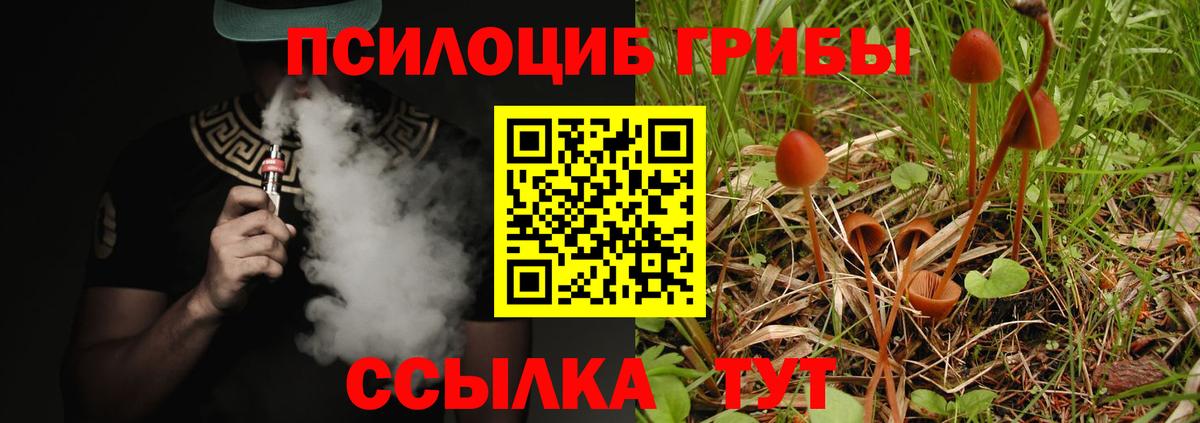 Псилоцибиновые грибы Cubensis  Галлюциногенные грибы мухоморы  Череповец  как найти   Вход с VPN 